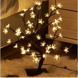 LED Copper Wire Bedroom Light Fairy String Lamp USB & Battery |